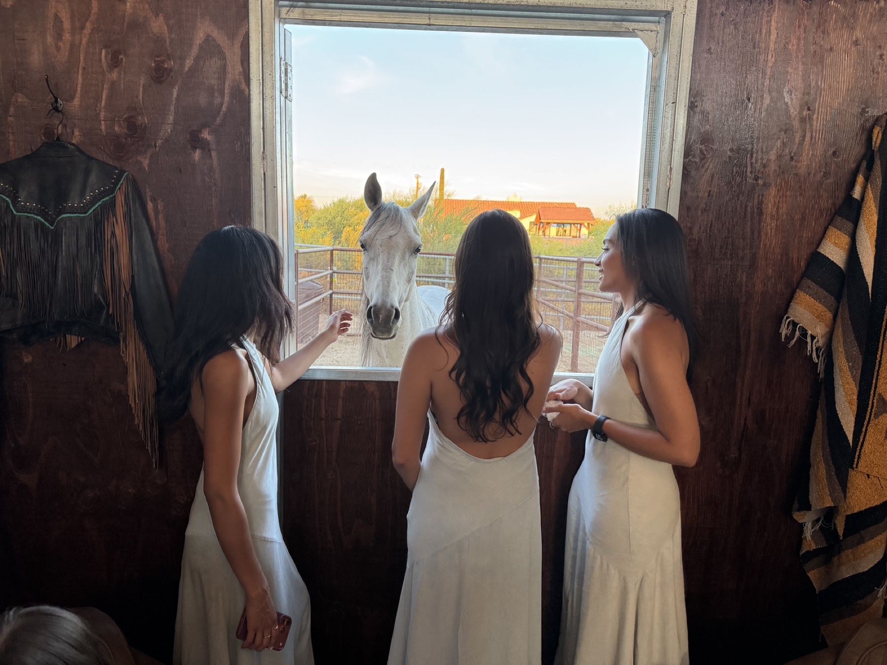 Wedding attendants greeting a white horse through the ranch barn window